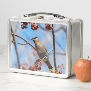 Bohemian Waxwing, Wildlife Avian Photography Metal Lunch Box