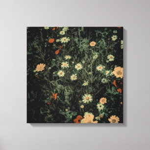 bohemian white daisy wildflower black floral canvas print