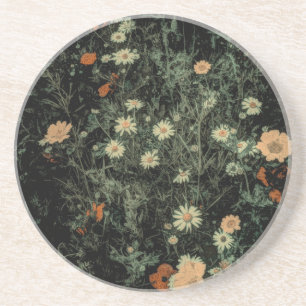 bohemian white daisy wildflower black floral coaster