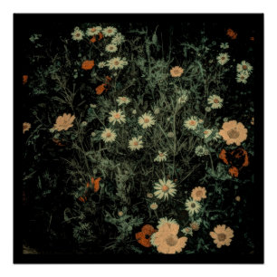 bohemian white daisy wildflower black floral poster
