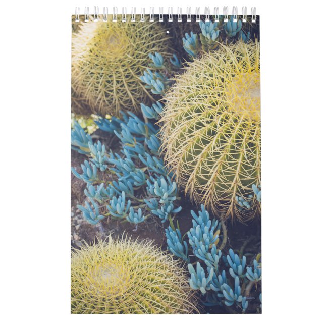 Boho Cactus Garden Calendar (Cover)