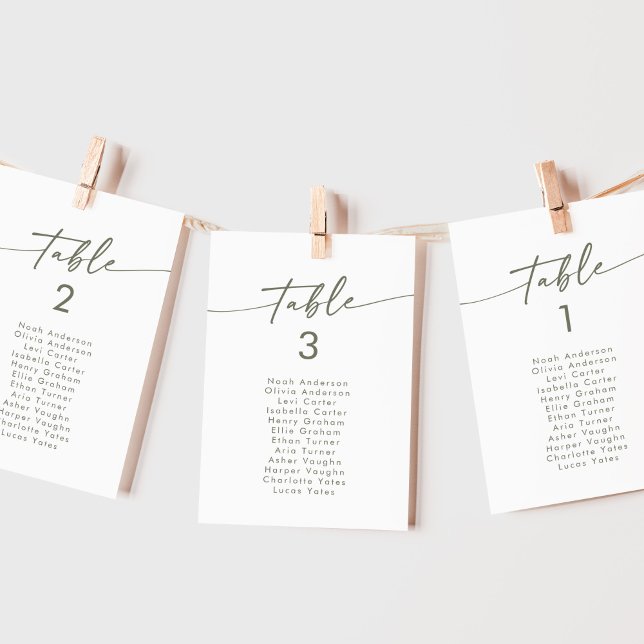 Boho Chic Green and White Hanging Seating Chart Invitation (Creator Uploaded)