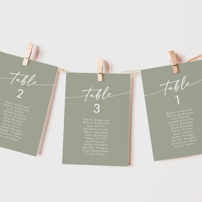 Boho Chic Sage Green Hanging Seating Chart Invitation (Creator Uploaded)