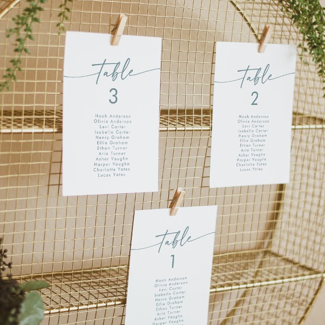 Boho Chic Teal and White Hanging Seating Chart Invitation (Creator Uploaded)