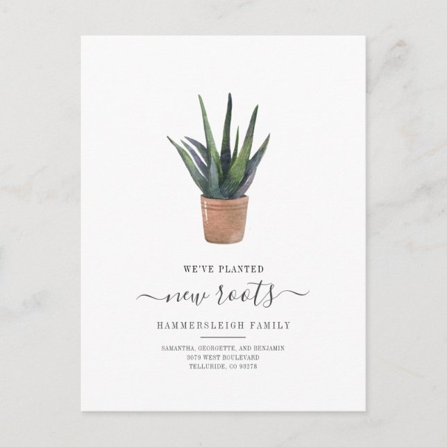 Boho Chic We've Moved New Roots Succulent Plant Announcement Postcard (Front)