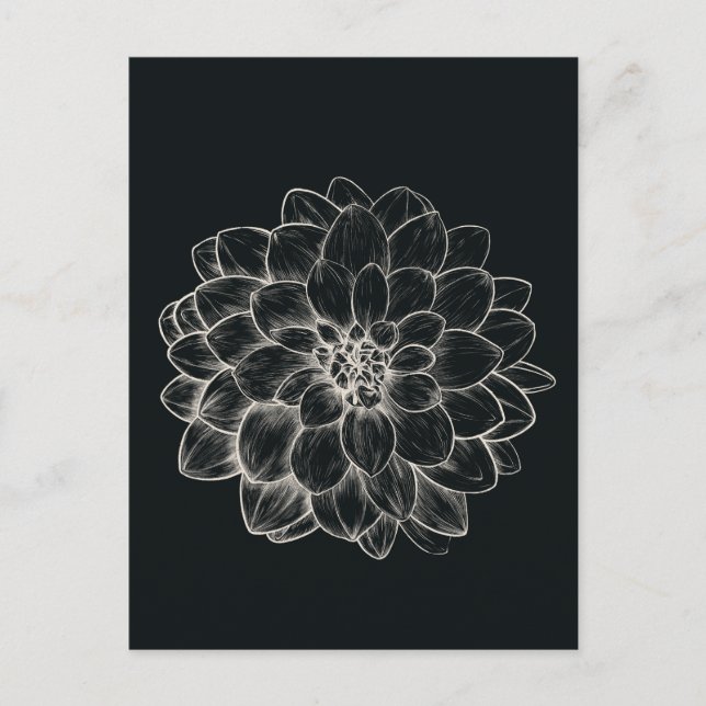 Boho Cream Dahlia Postcard (Front)