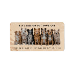Boho Dog Walker / Pet Sitter Return Address Label