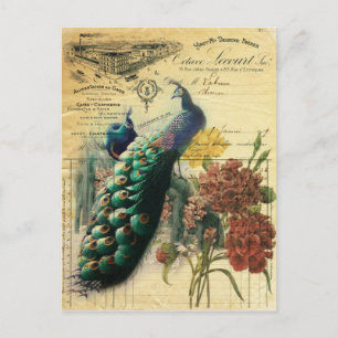 boho floral french country modern vintage peacock postcard