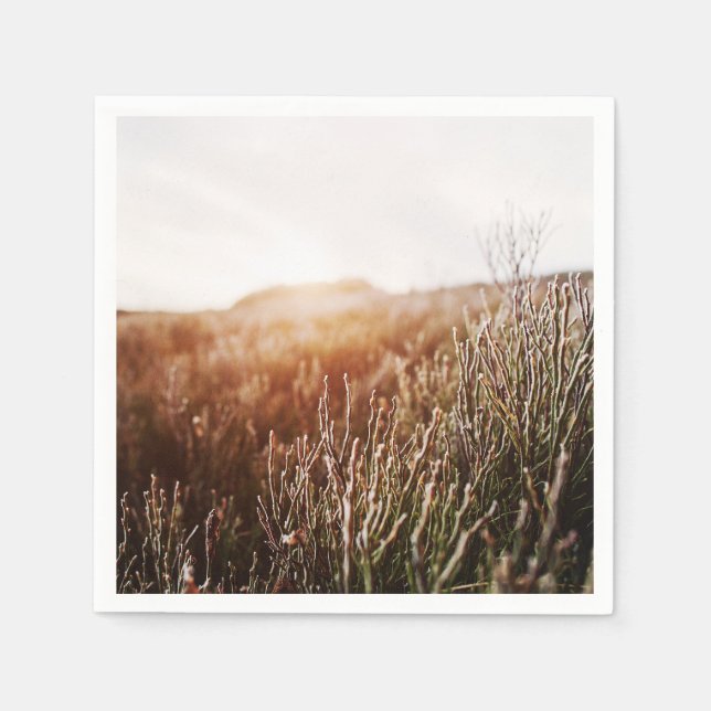 Boho Grass Field Any Occasion Party Napkins (Front)