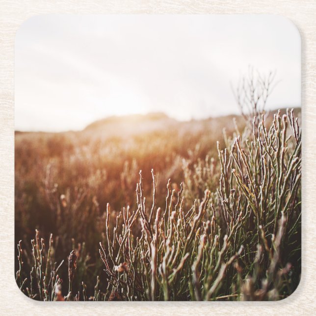 Boho Grass Field Any Occasion Square Paper Coaster (Front)