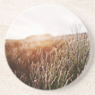 Boho Grass Field Sandstone Coasters
