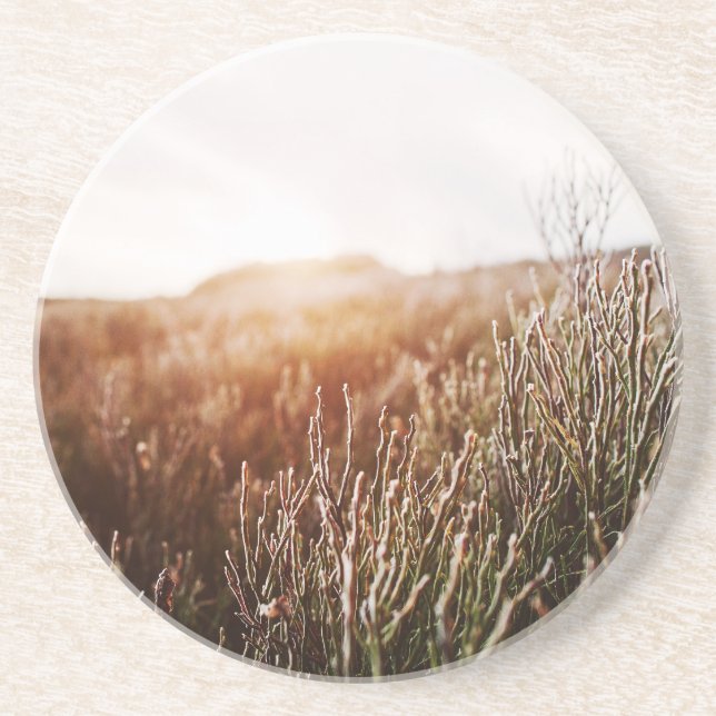Boho Grass Field Sandstone Coasters (Front)