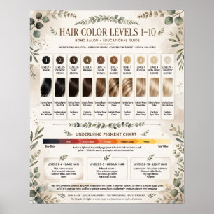 Boho Hair Colour Levels 1-10 Poster