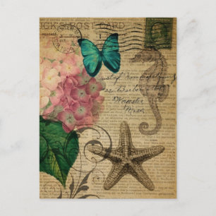 boho Hydrangea butterfly starfish French Botanical Postcard