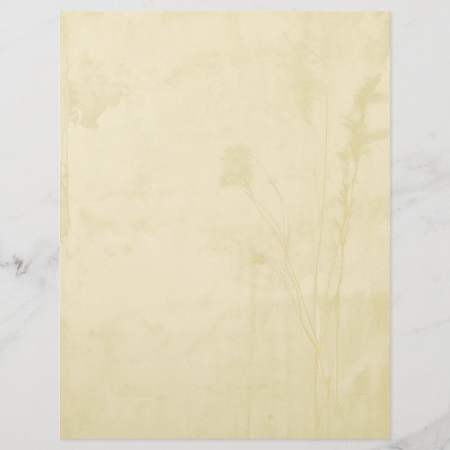 Boho Paper Letterhead (Front)