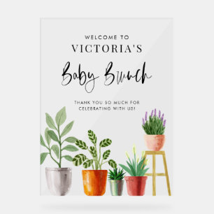 Boho Potted Houseplants Baby Brunch Welcome Acrylic Sign