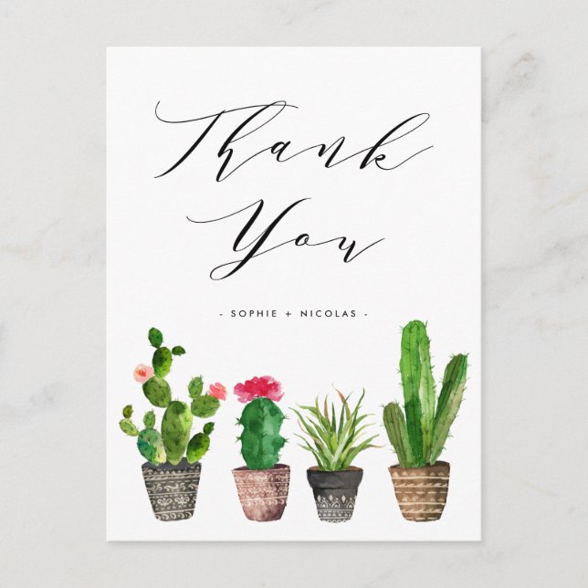 Boho Potted Succulent and Cactus Wedding Thank You Postcard (Front)
