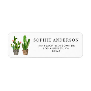 Boho Potted Succulents and Cactus Personalised