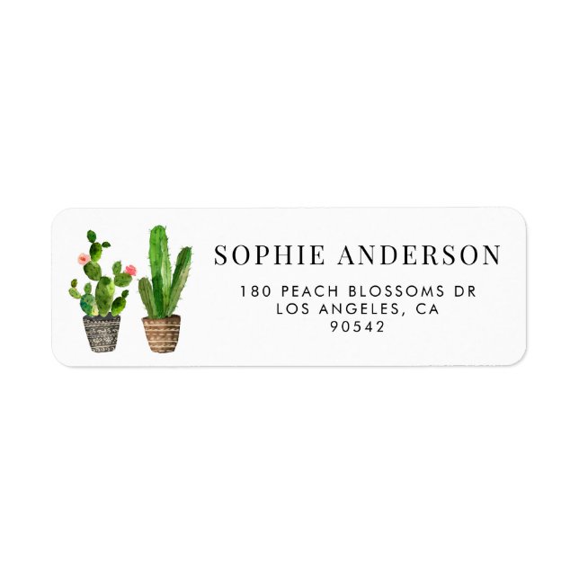Boho Potted Succulents and Cactus Personalised (Front)
