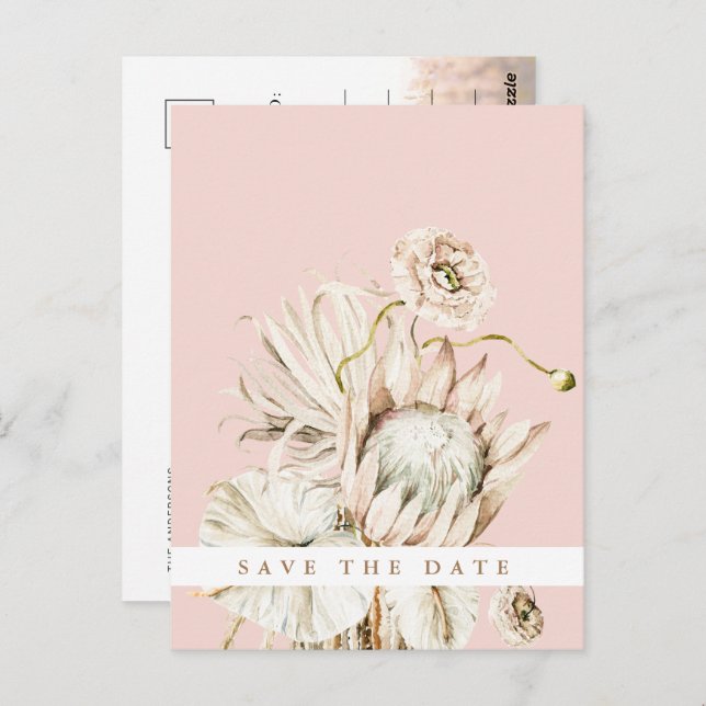 Boho Protea Pampas Grass Blush Save the Date Photo Postcard (Front/Back)