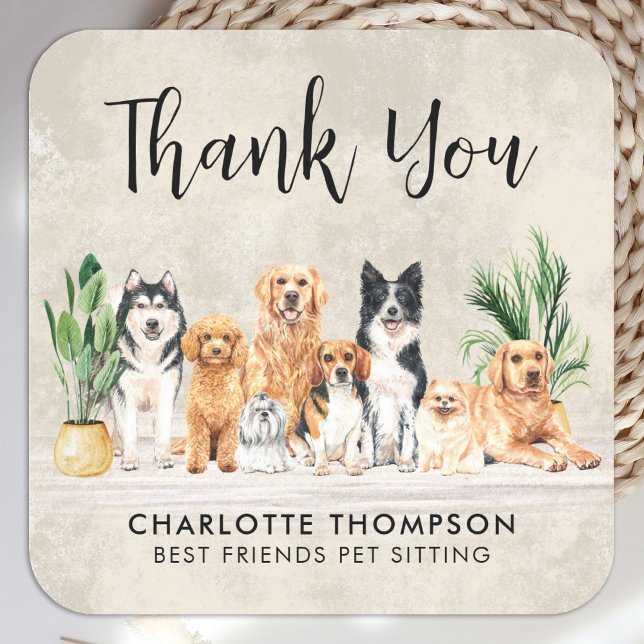 Boho Puppy Dogs Pet Sitter Dog Groomer Thank You Square Sticker (Creator Uploaded)