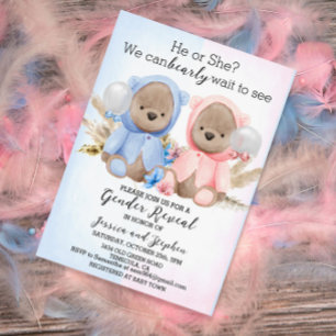 Boho Teddy Bears Pink Blue Gender Reveal Invitation
