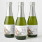 Boho Woodland Mini Sparkling Wine Label Set