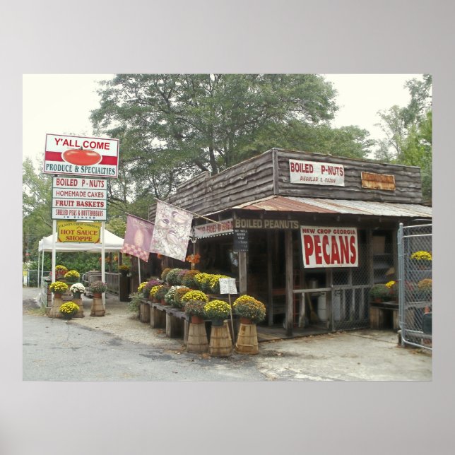 Boiled Peanuts Y'ALL COME Poster (Front)