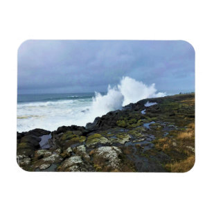 Boiler Bay State Wayside, Depoe Bay, Oregon Magnet