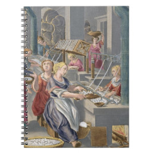 Boiling the Cocoons to Destroy the Chrysalids and Notebook