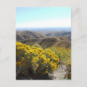 Boise Foothills Postcard