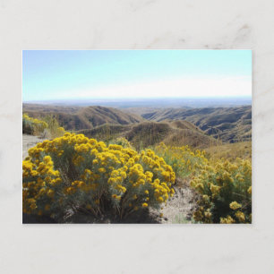 Boise Foothills Postcard