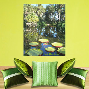 Bok Tower Gardens Florida Giant Water Lily Pads Canvas Print