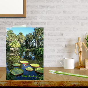 Bok Tower Gardens Florida Victoria Water Lilies