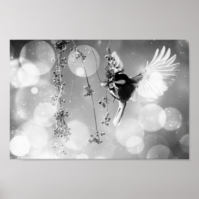 Bokeh Bubbles Flying Hummingbird - B&W Poster (Front)