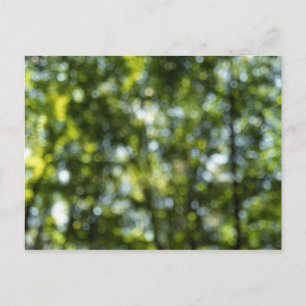 Bokeh in Spring Postcard