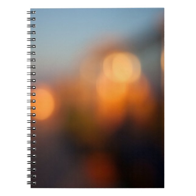 Bokeh Notebook (Front)