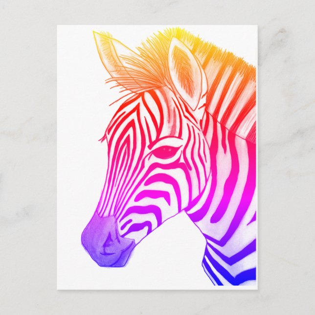 Bold and colourful zebra drawing postcard (Front)