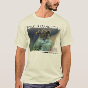 Bold and Dangerous - Pygmy tyrant T-Shirt