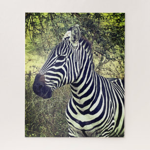 Bold Beautiful Black and White Zebra Kenya Jigsaw Puzzle