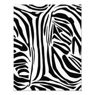 Bold Black and White Zebra Print Pattern