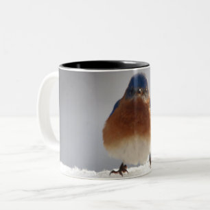 Bold Bluebird Two-Tone Coffee Mug