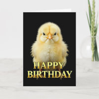 BOLD DISTINCT CLOSEUP CHICK BIRTHDAY CARD