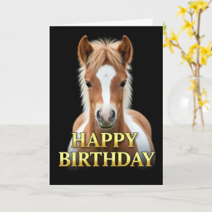 BOLD DISTINCT CLOSEUP FOAL BIRTHDAY CARD