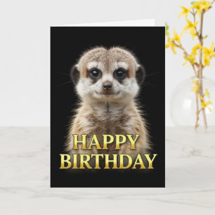 BOLD DISTINCT CLOSEUP MEERKAT BIRTHDAY CARD
