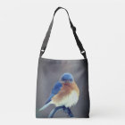 Bold Eastern Bluebird