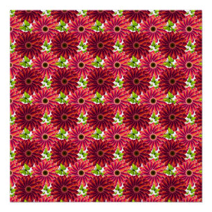 Bold Floral Pattern with Butterflies Vibrant Red Poster