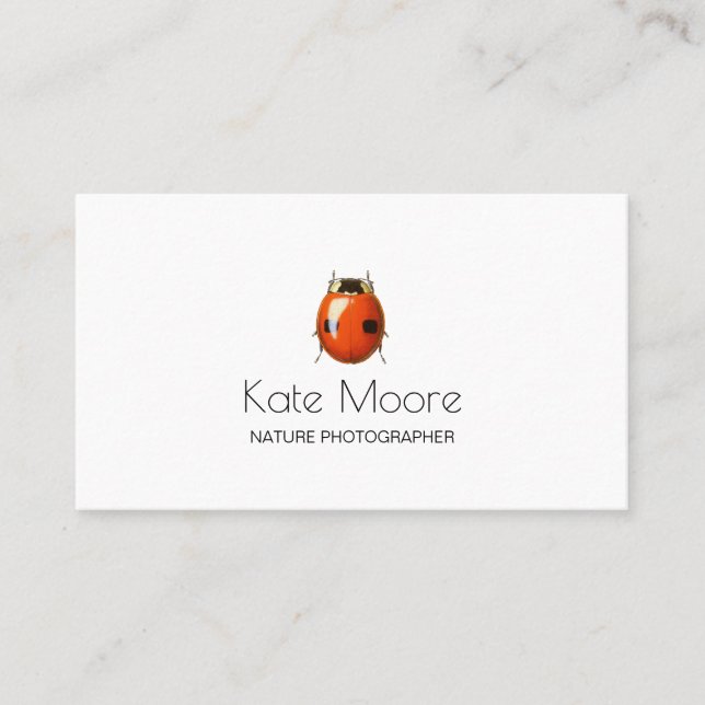 Bold Ladybug Insect Business Card (Front)