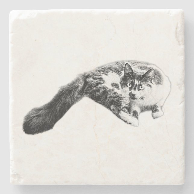  Bold Long‑Tail Cat Ink Coaster (Front)