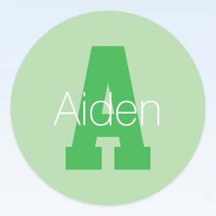 Bold Modern Monogram Pale & Kelly Green Classic Round Sticker